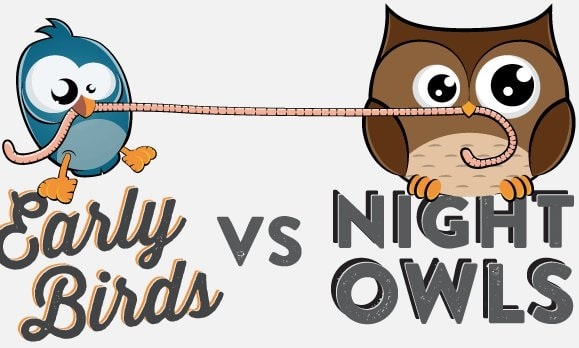 Better to Be a Night Owl or Early Bird?